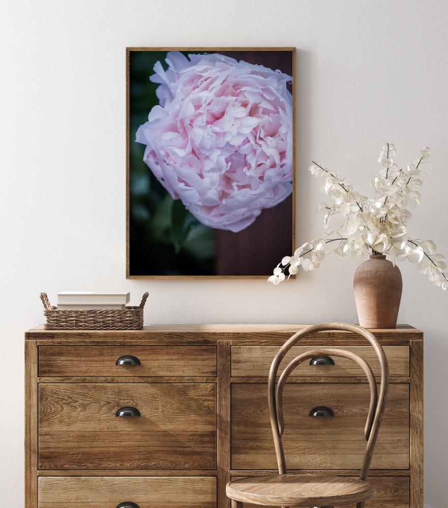 Peony I reklaamplakat